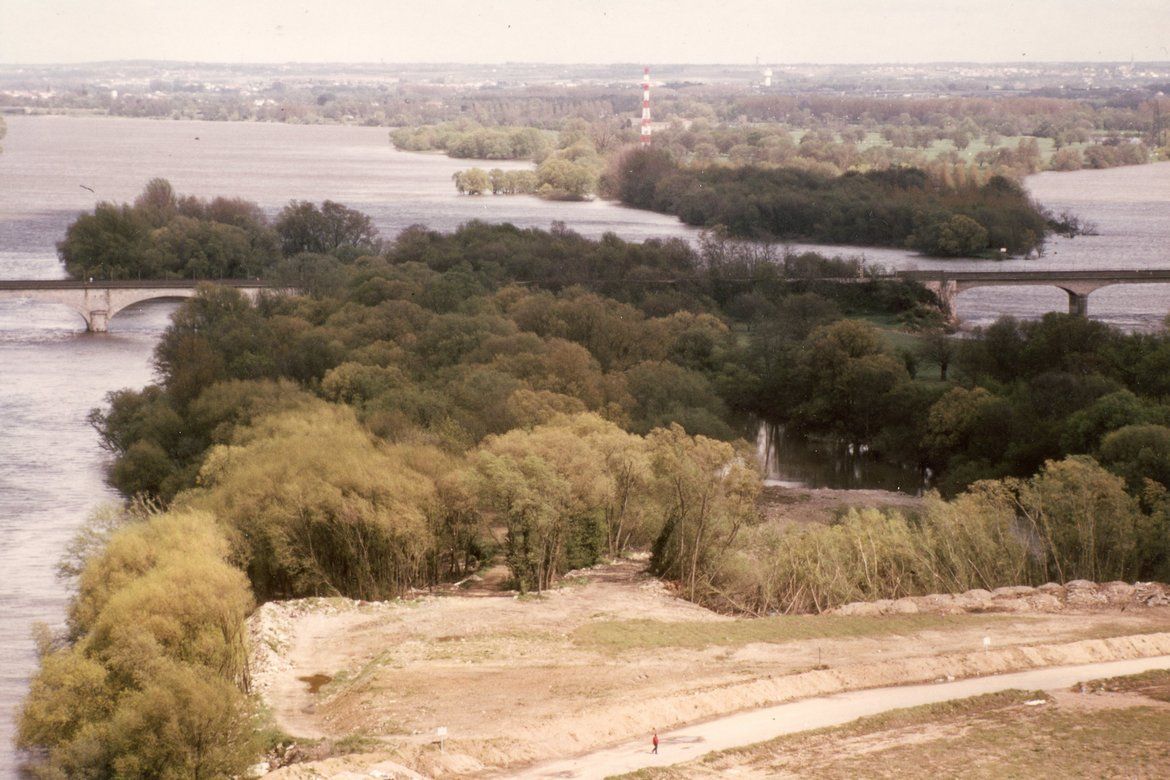 Pointe de l'île de Nantes.