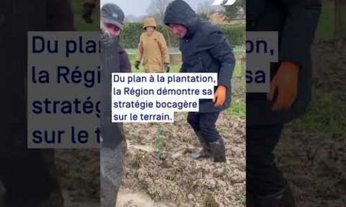 500 km de haies par an : Objectif atteint !