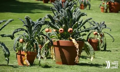 Jardin des Plantes de Nantes