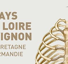 Visuel de communication : Les Pays de la Loire en Avignon avec la Bretagne et la Normandie